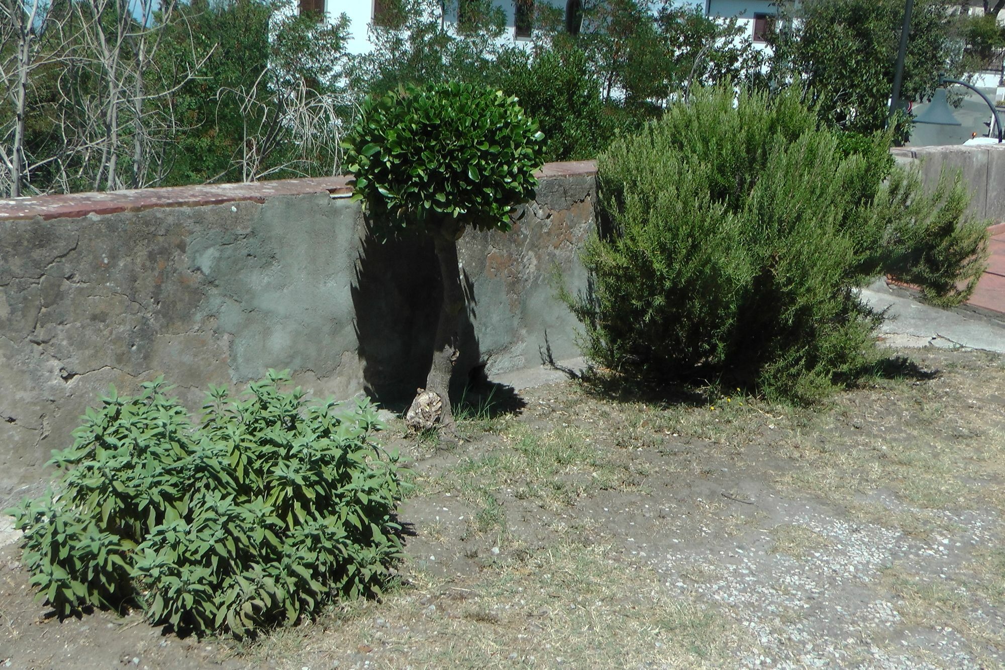 Ferienhaus Villa Della Querceta Livorno Luaran gambar
